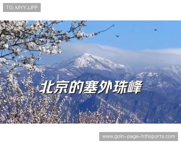 北京队战术升级，塞外猛虎迎来冲刺！，北京队战绩